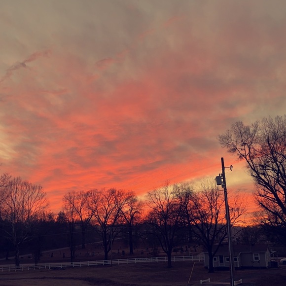 abby_lynn015571